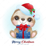 SUP SLOTHS