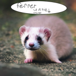Ferrets Unite (The Original)