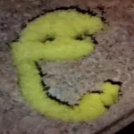 Satveer's F4F Group Group Thumbnail