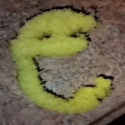 Satveer's F4F Group Roblox group icon
