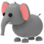 #ELEPHANTS_SQUAD!