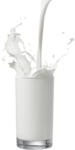 Milkmilki Group