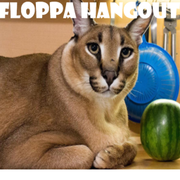Floppa hangout