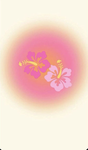 DANDORO
