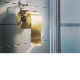 fight for toilet paper cause corona virus