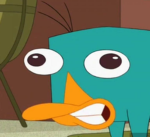 perry has a group