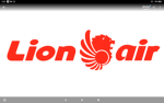Nothing Airlines