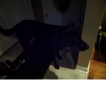 Ravenman
