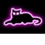 Hyped Cats