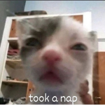 Luci4z