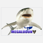 shark attack *gets TRAPPED ON ISLAND*