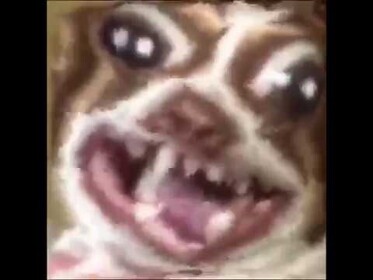 Funny meme game [lag]