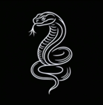 viper-club
