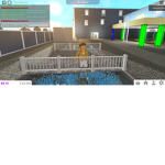 nicoles rblx group