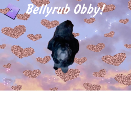 Bellyrub Obby! ☻ (Not Finished)