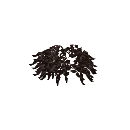 Brown Curly Bun Extension Roblox item