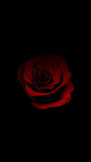 Rbx dracula