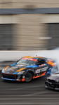 flowers & twigs