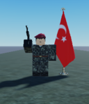 Türkiye Ordu Similasyonu (TOS)