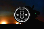 Joint Task Force Two Nine