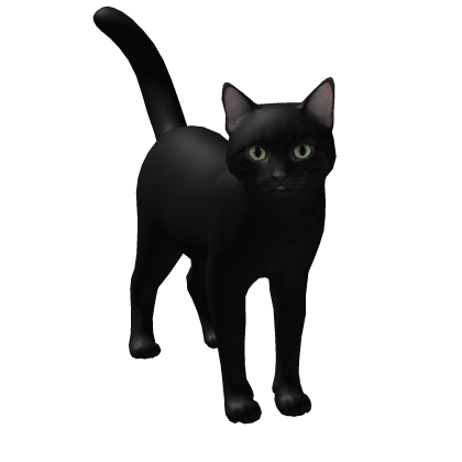 Black Cat