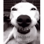 zombiee o_O