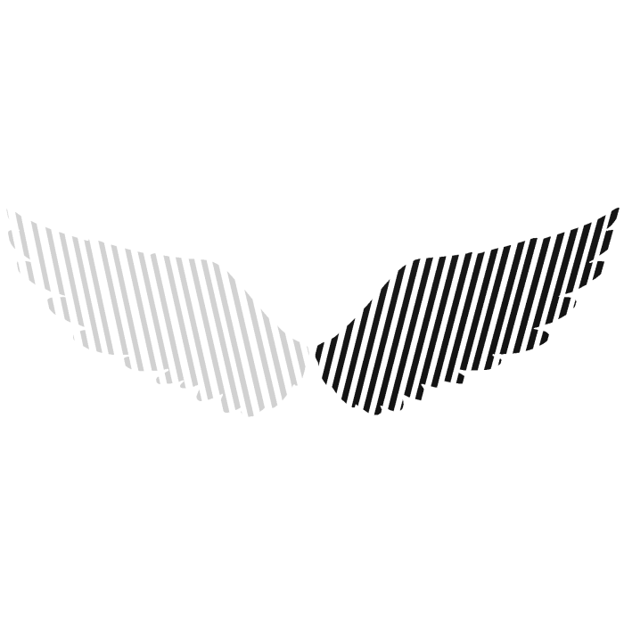 [ANIMATED] White & Black Wings