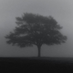 Minimalism15