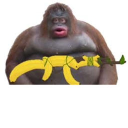MONKE OBBY