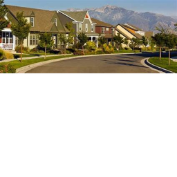 What Hides In The Neighborhood