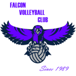 Volleyball Falcon
