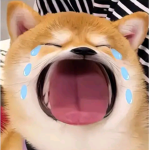 nee mom bab