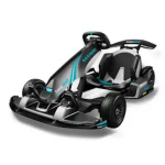 Go karts best