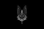 –|SASR|– D Squadron