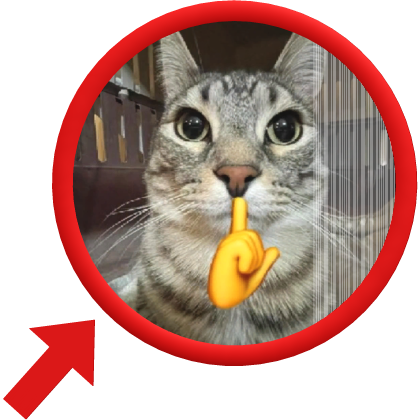 Mewing Cat Meme with double face changing effect