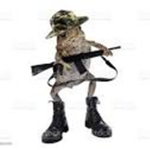FROG BOOTCAMP