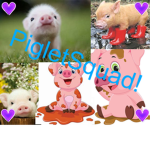 PigletSquad