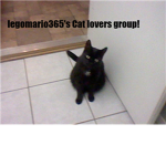legomario365's Cat lovers group