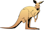 Team Kangaroos