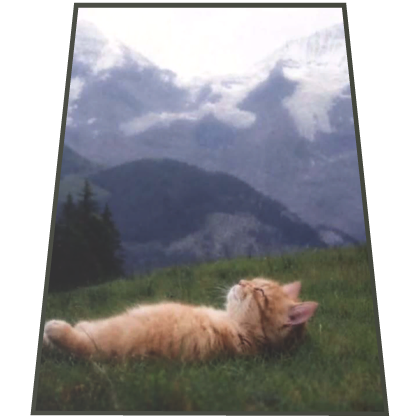 Capa de Gato Tranquilo
