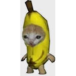 BLOXBURGisCOLL