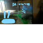 THE SWAGGY TURTLES