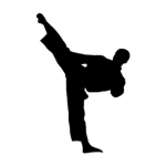 cobrakai