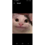 Join my group now for robux