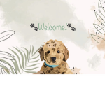 Simply puppys