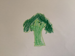 Broccoli group :0