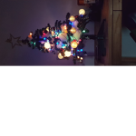 솔로들만