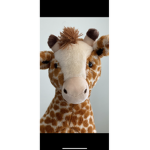 Giraffe Gamers!