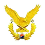 Inyual Korea Investigation Group