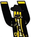 The Random Robloxians!